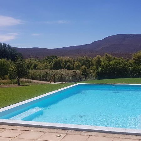 Hostal Vrisch Gewagt Boutique Self-Catering Olive Farm Prince Albert Exterior foto