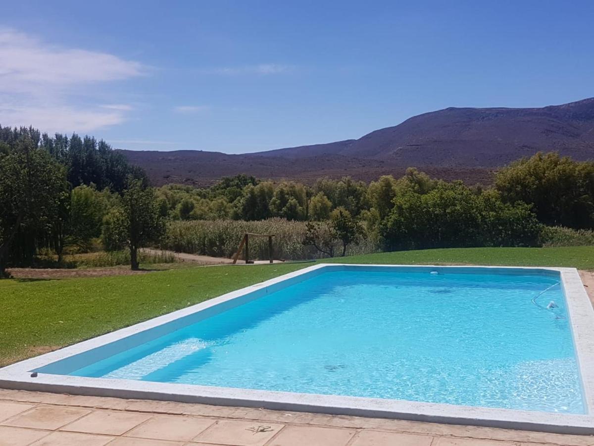Hostal Vrisch Gewagt Boutique Self-Catering Olive Farm Prince Albert Exterior foto