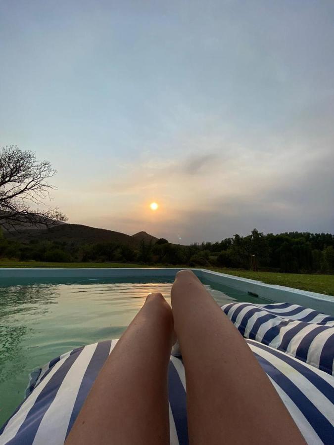 Hostal Vrisch Gewagt Boutique Self-Catering Olive Farm Prince Albert Exterior foto