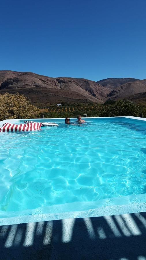 Hostal Vrisch Gewagt Boutique Self-Catering Olive Farm Prince Albert Exterior foto