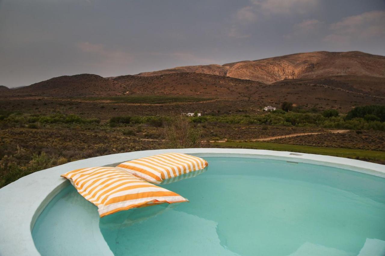 Hostal Vrisch Gewagt Boutique Self-Catering Olive Farm Prince Albert Exterior foto