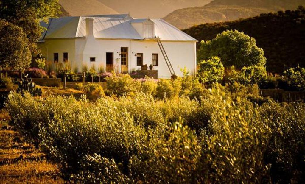Hostal Vrisch Gewagt Boutique Self-Catering Olive Farm Prince Albert Exterior foto