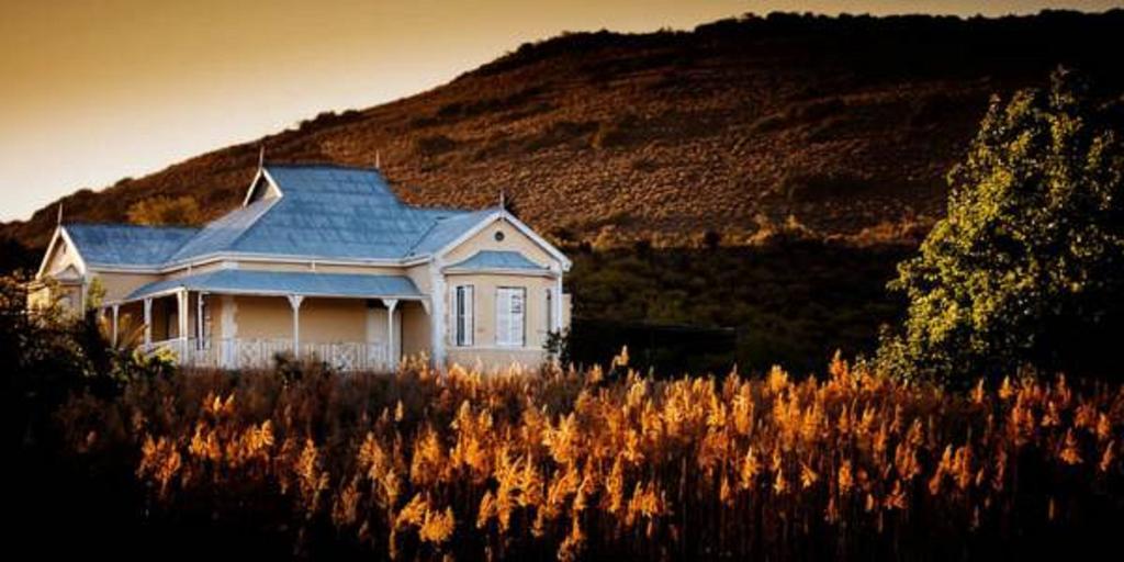 Hostal Vrisch Gewagt Boutique Self-Catering Olive Farm Prince Albert Exterior foto
