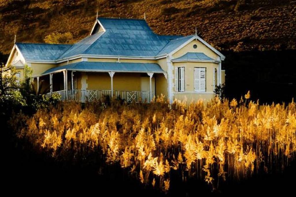 Hostal Vrisch Gewagt Boutique Self-Catering Olive Farm Prince Albert Exterior foto