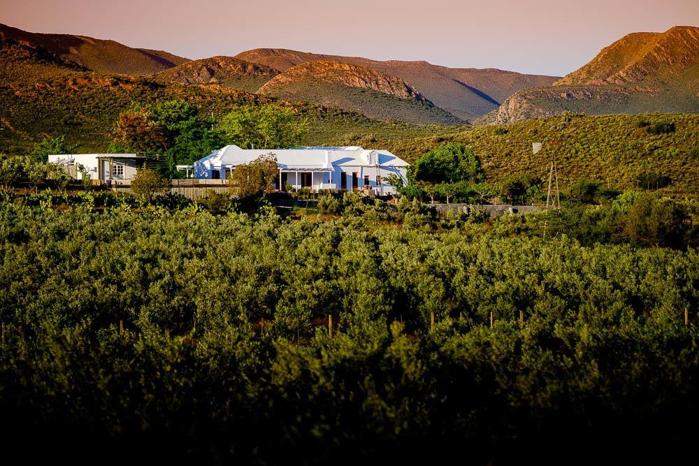 Hostal Vrisch Gewagt Boutique Self-Catering Olive Farm Prince Albert Exterior foto